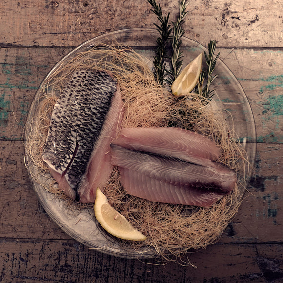 Hamburguesas pescado tilapia