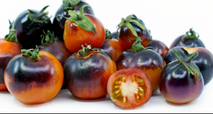 Jitomate Cherry Indigo 500g