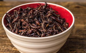 Botana de chapulines