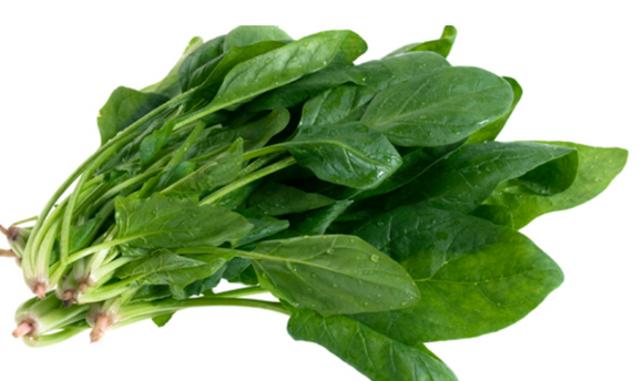 Espinaca
